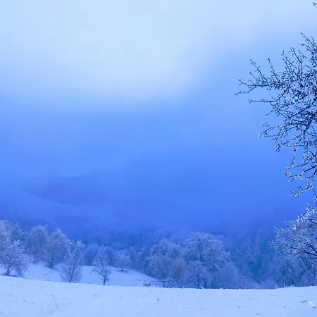 Smestaj Bojanine Vode *