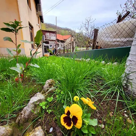 Smestaj Bojanine Vode Appartement