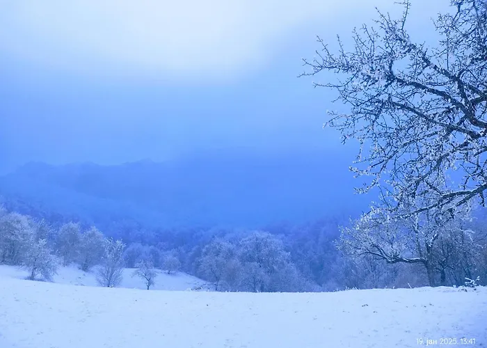 公寓 Smestaj Bojanine Vode Ni