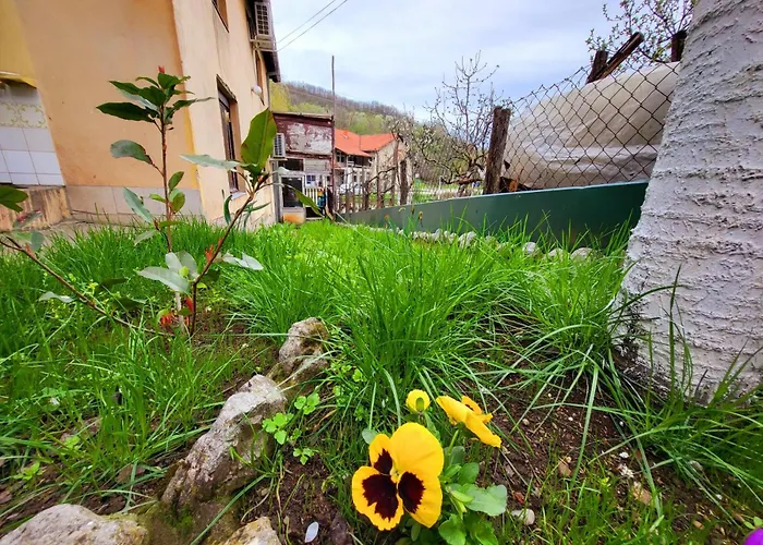 Smestaj Bojanine Vode 公寓