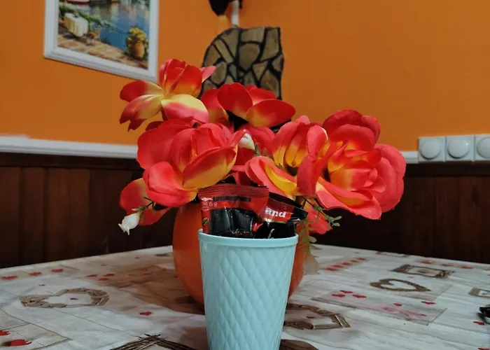 公寓 Smestaj Bojanine Vode Ni